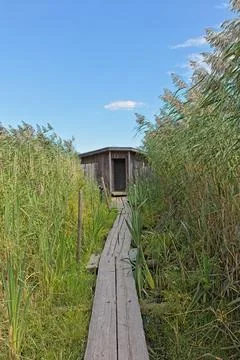 Duckboards and hide. Stock Photos
