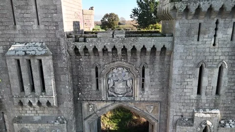 Duckett's Grove Stone Gate Crest and Estate Ruins 4K Stockbeeldmateriaal 333925662