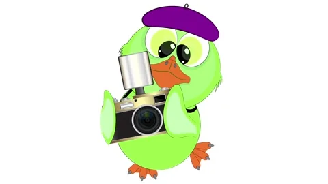 Duckling with a camera. cartoon animation. Stock Footage 130222255