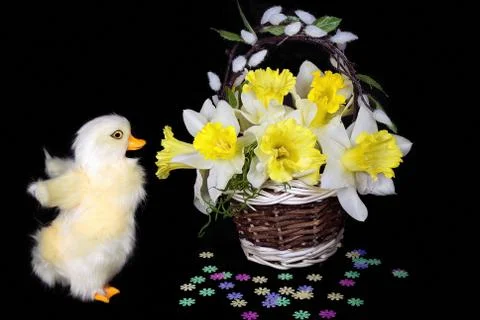 Duckling with daffodils Stock Photos