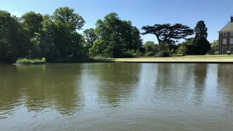 DUCKLINGS 4 Stock Footage 135315316