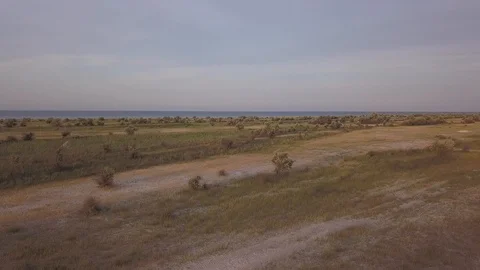 Ducks activate obstacle avoidance system of DJI Mavic Pro drone Stock Footage 94450144