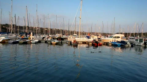 Ducks and Boats Video stock 685141