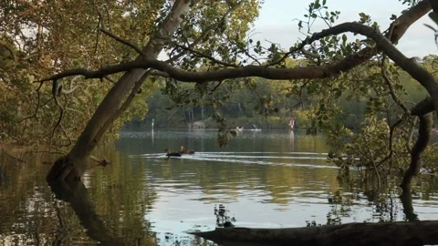 Ducks and kayaks Video stock 136824609