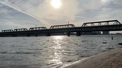 Ducks and Light Rail Bridge at Tempe Town Lake Stock Footage 297214431