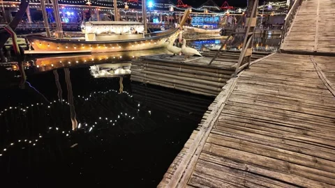 Ducks are sitting by the water Video stock 309128841