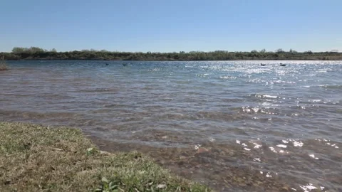 Ducks in the distance in spring Beebys Lake 库存影片 332301786