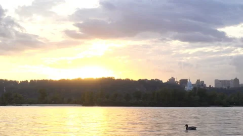 Ducks in the Dnieper River and a view of the city at sunset in 4K. Stock Footage 141746885