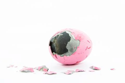 Duck's egg preserved skin  layer with pieces of eggshell Stock Photos