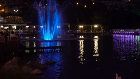 Ducks in the evening landscape 動画素材 129678795