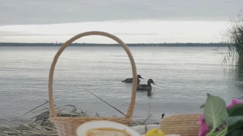 Ducks that float on the water against the background of a picnic, basket, melon Video stock 139040263