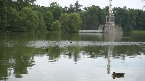 Ducks floating in the lake Vidéo 108306210