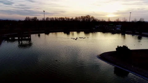 Ducks floating on the lake at sunset Stock Footage 121886347