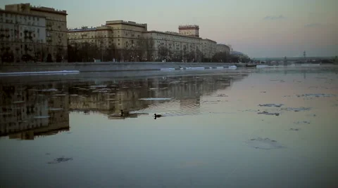 Ducks floating on the river Stock Footage 47090078