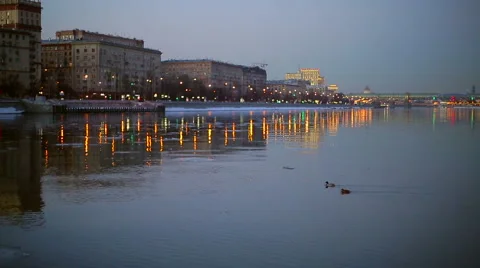 Ducks floating on the river Stock Footage 47101443