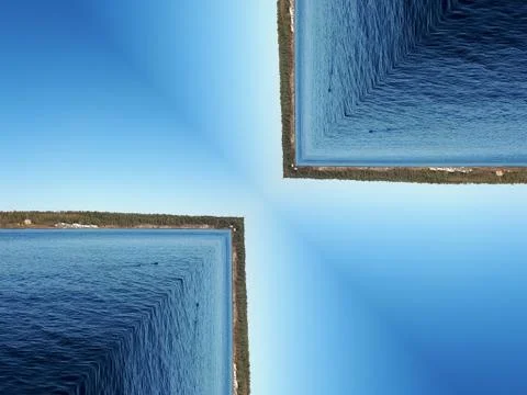 Ducks floating in the water Stock Photos