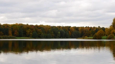 Ducks Floating On The Water Surface Of The Lake. Autumn Landscape Color Trees An Stock Footage 81152461