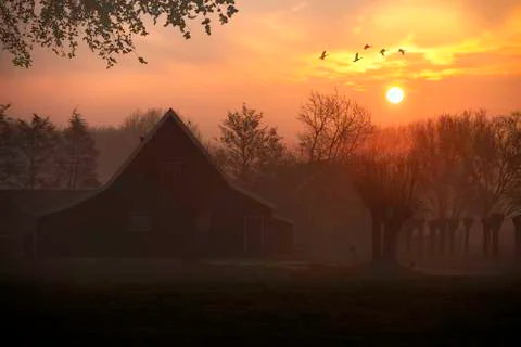 Ducks flying over a beautiful typical Dutch wooden houses architecture at the Stock-Fotos