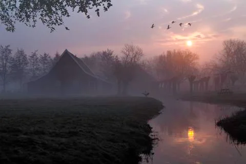 Ducks flying over a beautiful typical Dutch wooden houses architecture at the Stock Photos