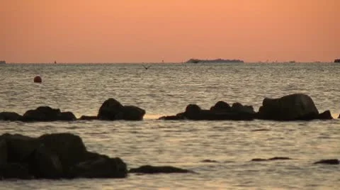 Ducks flying at sunset in a bay Stock Footage 10735895