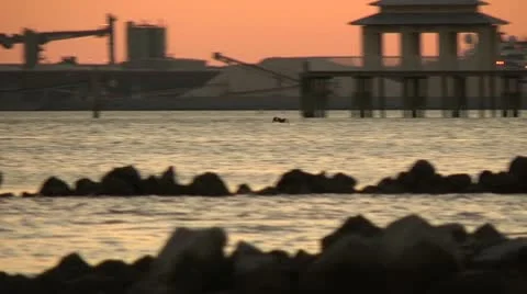 Ducks flying at sunset in a bay Stock Footage 10735932