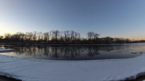 Ducks Stockbeeldmateriaal 87859863