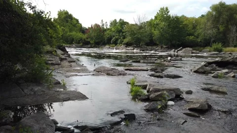 Ducks in a gentle stream Stock Footage 138649737