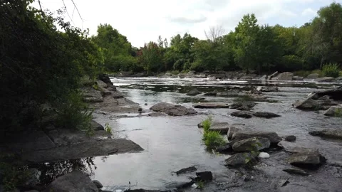 Ducks in a gentle stream Stock Footage 138649840