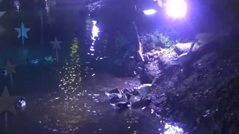 Ducks go with the flow, come ashore one by one. Rock Stock Footage 143825480