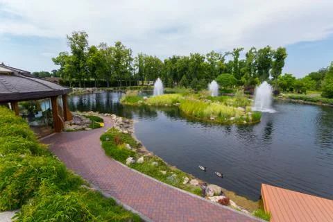 Ducks gracefully floating in a small pond with fountains Stock Photos