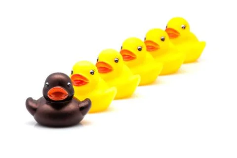 Ducks of gum Stock Photos