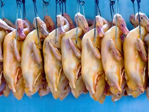 Ducks on hooks Stock Photos