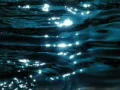 Ducks HS 07 Water Surface Reflections Slow Motion x7 Loop Web Footage