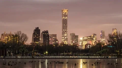 Ducks on ice in Beijing CBD at night Stock Footage 227071009