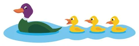 Ducks Stock Illustration