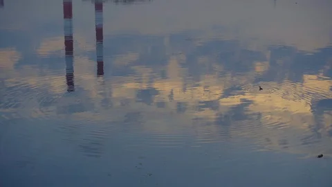 Ducks on the lake against the reflection of power plant pipes at sunrise 스톡 동영상 103846227