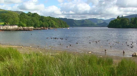 Ducks on the lake from the beach, clouds over the mountains, wide Stock Footage 39994589