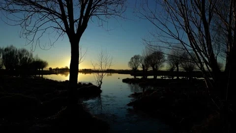 Ducks at the lake during sunset Stock Footage 260260169