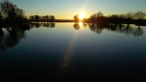 Ducks at the lake during sunset Stock Footage 260261392