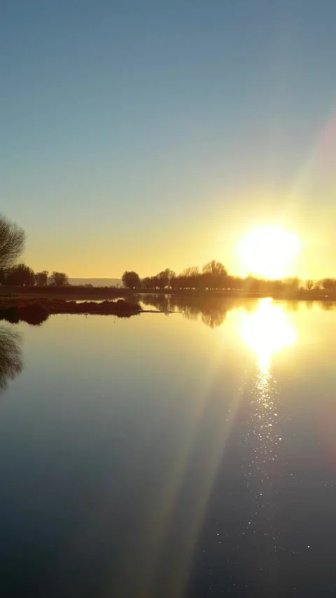 Ducks Lake During Sunset Vertical Video Stock Footage 334881412