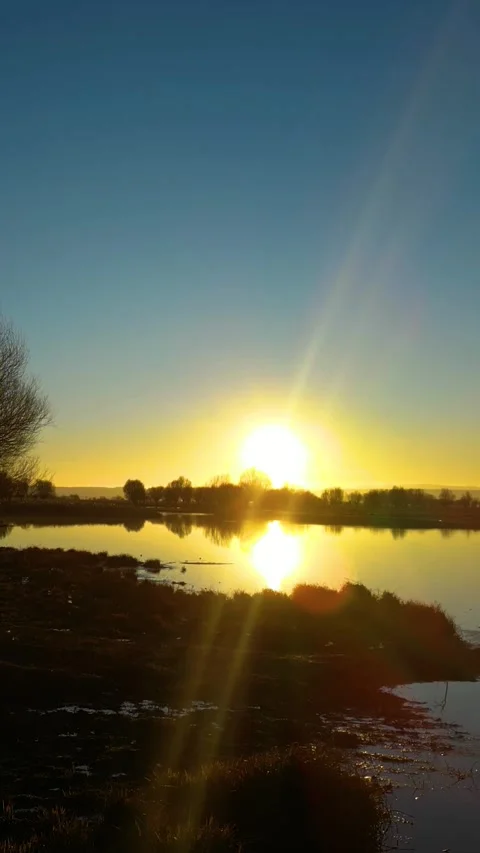 Ducks Lake During Sunset Vertical Video Stock Footage 334882808