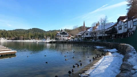 Ducks by lake in the snow Video stock 150409229