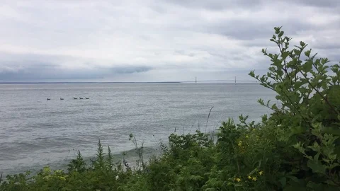 Ducks on Lake Timelapse Stock Footage 129053910