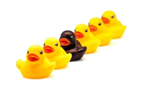 Ducks line Stock Photos