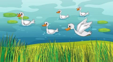 Ducks looking for foods Stock Illustration