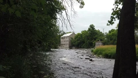 Ducks mill river Stock Footage 135770935