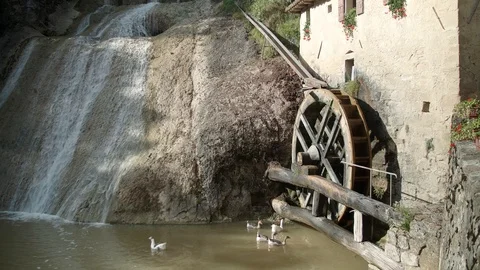 Ducks at molinetto della Croda - mill Refrontolo - 4k Stock Footage 115889579