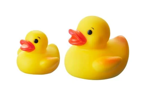 Ducks Stock Photos