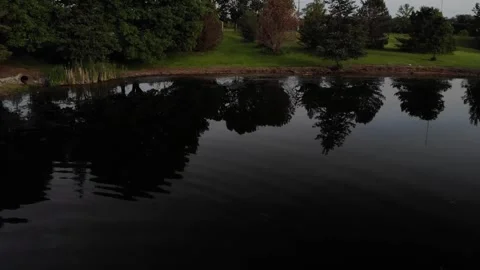 Ducks in a pond at dusk Stock Footage 242800935