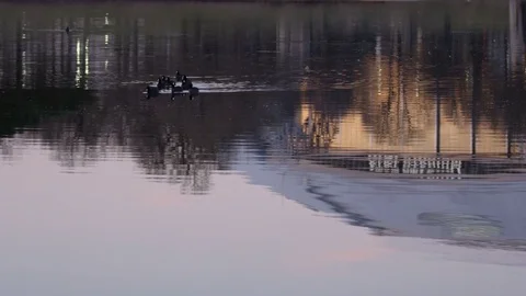 Ducks on a Pond Video stock 73901150